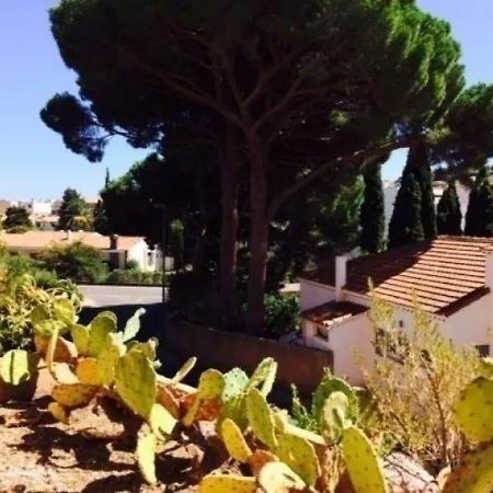 Joli Studio Avec Coin Cabine Avec Belle Terrasse Apartment